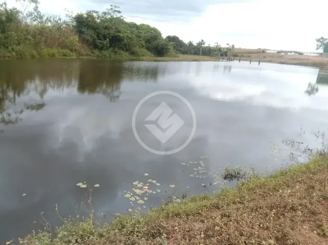 FAZENDA PRODUTIVA DE 475,21 Alqueire codigo: 367781