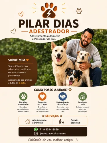 Adestrador Canino e Passeador Especializado 