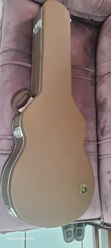 Case viola