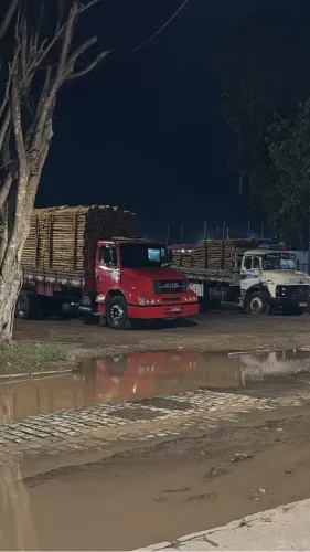 Estacas de eucalipto tratada