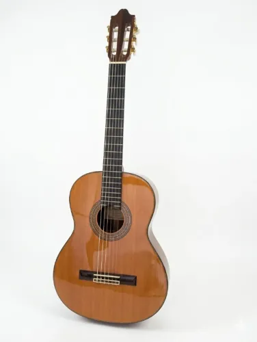 Violão Eletroacústico Nylon PHX J. White AH-C30 EQ NA Anatômico + Capa Acolchoada