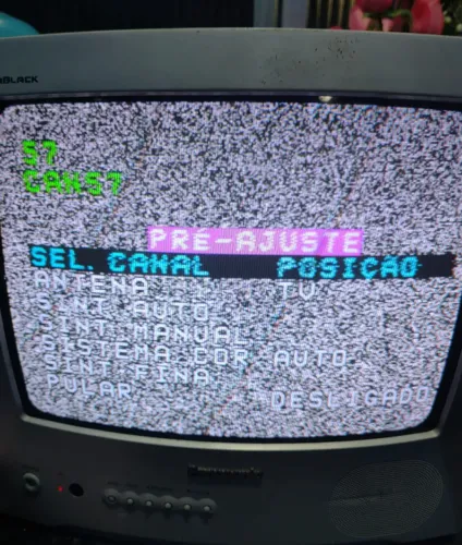 Tv Panasonic 14 polegadas tubo funcionando