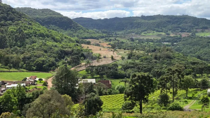 LINDA VISTA EM SITIO EM NOVA PETRÓPÓLIS