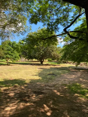 Lote/Terreno para venda tem 1500 metros quadrados em Centro - Dois Córregos - SP