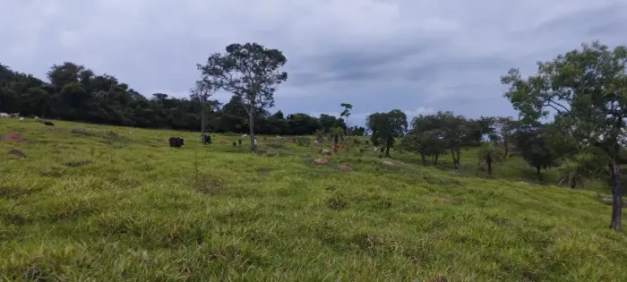 Terreno em Itaguara MG 200 Mil Metros, 20 HECTARES Ótima localização
