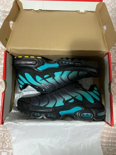 Nike Air Max Plus Black Dusty Cactus TN
