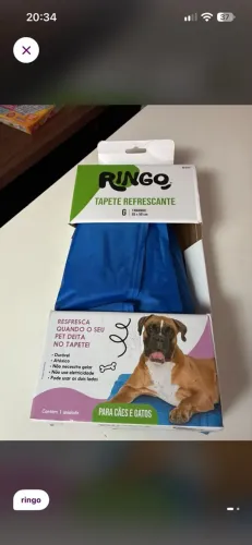 Tapete refrescante pet tinto azul tamanho g