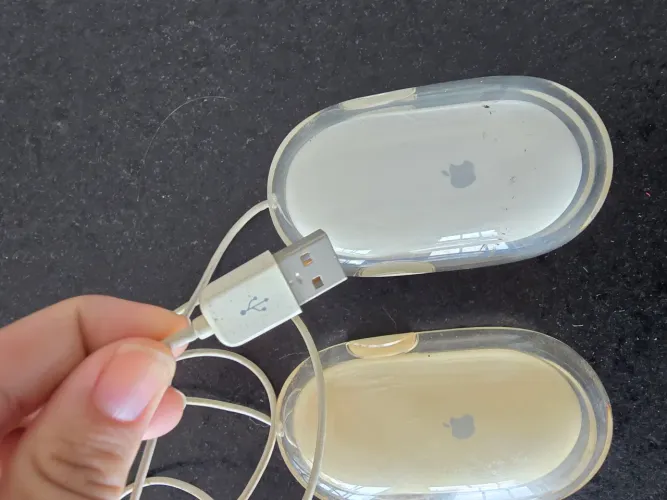 Apple mouse