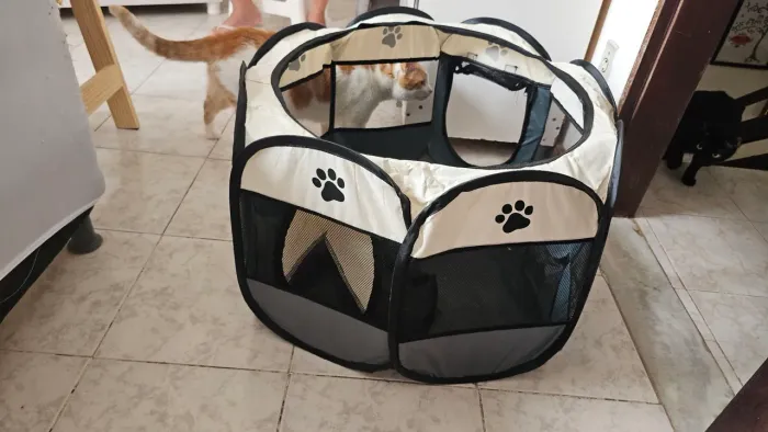 Cercado Dobrável para Cães e Gatos | Chiqueirinho Portátil com Tela