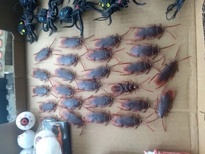 halloween itens diversos baratas aranhas dedos decepados olhos morcego