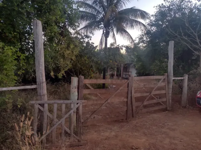 Chácara no Setor de Mansões Cariru com 5 hectares, 350.000