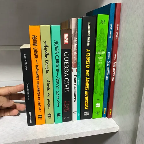 Lote de Livros