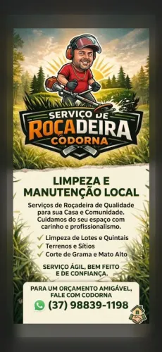 Oferecemos capina, limpeza de lotes em geral, serviços de roçadeira e muito mais..