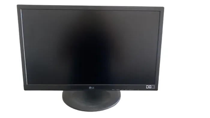 Monitor  LG 22BN550Y 22 polegadas 
