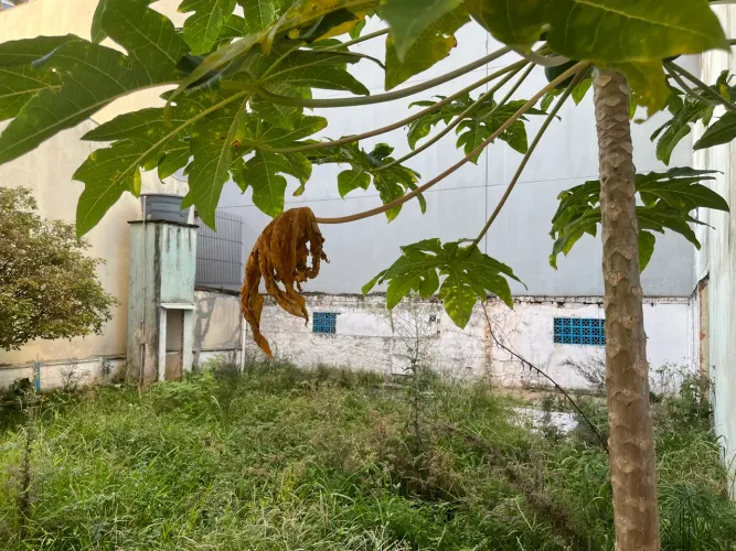 Terreno maravilhoso no local mais nobre da Fazenda