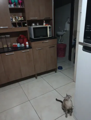 ARMÁRIO DE COZINHA
