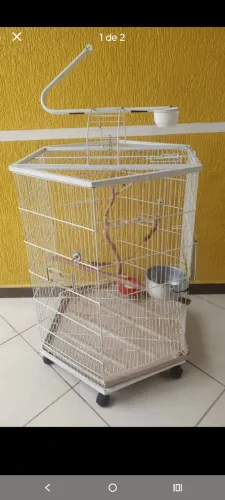 Gaiola 
