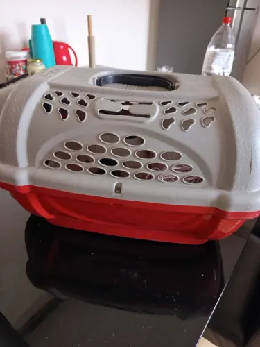 Casinha de gato