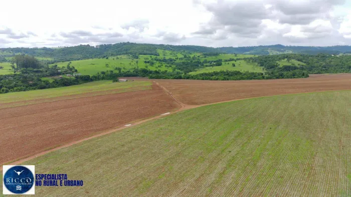 Fazenda à Venda em Itauçu (GO) 333 Alqueires | Dupla Aptidão
