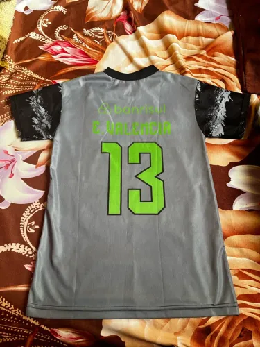 Camisa
