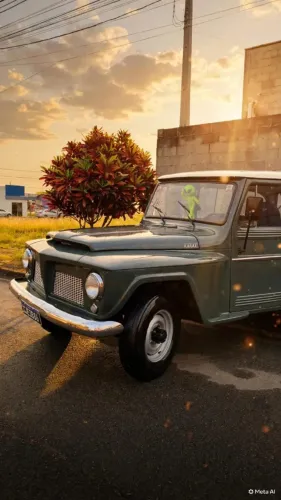 Ford Willys Rural 4X4 1967