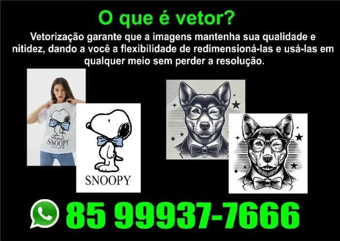 Vetorização para estampas e design em geral.