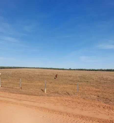 Fazenda 850 hect em nova motum MT. 500 hec pasto 22 milhões