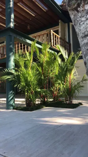 Jardineiro profissional