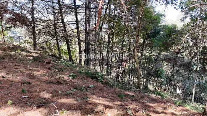 O Melhor Lote de Terreno à Venda na Região do Alto da Boa Vista - Campos do Jordão/SP