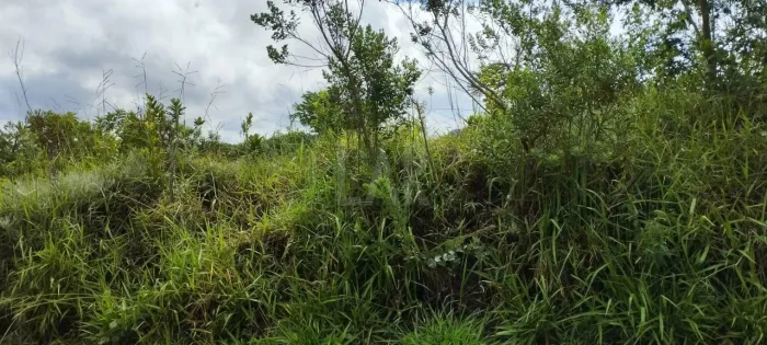Lote em Condomínio à venda, Mirante da Mata - Nova Lima/MG