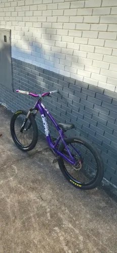 Quadro gios 4 freaks 2025 roxo 