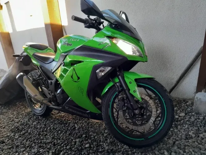Kawasaki Ninja 300 2013 ABS
