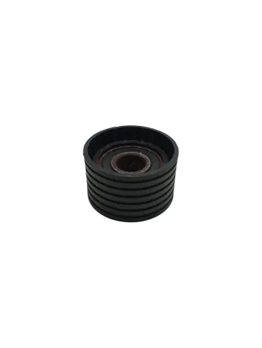 Rolamento Tensor Correia Dentada Renault Megane 2.0 16v 2005