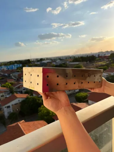 Instrumentais odontológicos para EXODONTIA