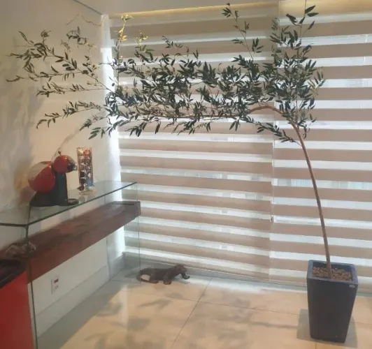 Bambu Mossô Permanente: A Natureza Perfeita, A Elegância Eterna.