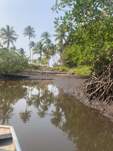Vendo Excelente Ilha na Região de Puxim - Comandatuba