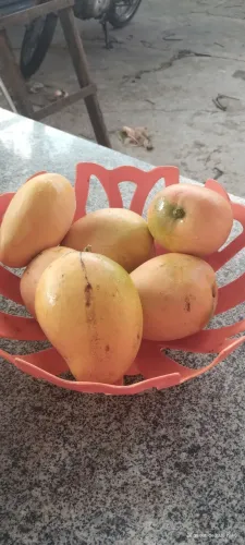 Mangas Rosas 1.70 a Unidade