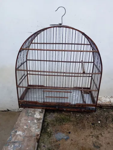 Gaiola 