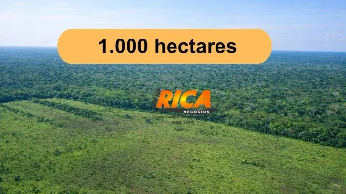 Vende-se Excelente Fazenda com 1.000 hectares na Zona Rural de Humaita/AM