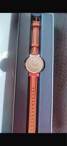 garmin lily 2 classic
