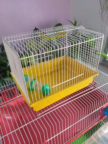 Gaiola de hamster amarela