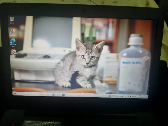 Notebook Positivo Stilo One