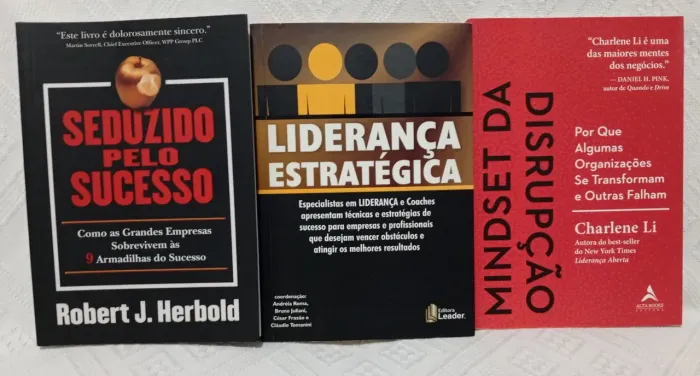 Seduzindos pelo sucesso Mindset da disrupção Liderança estratégica