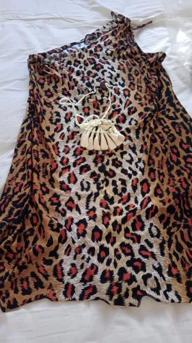 Fantasia Carnaval pedrita