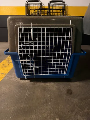Casinha de cachorro grande