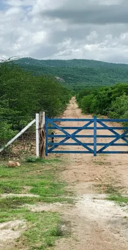 Fazenda em São Tomé RN