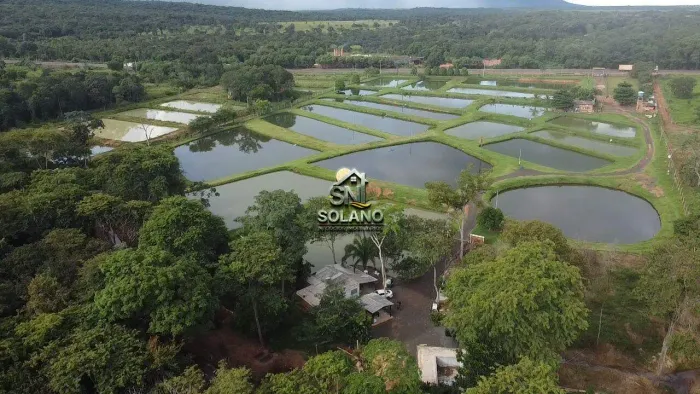 VENDO TERRA COM CRIAÇÃO DE PEIXES PRÓXIMO A NOVA OLÍMPIA MT.