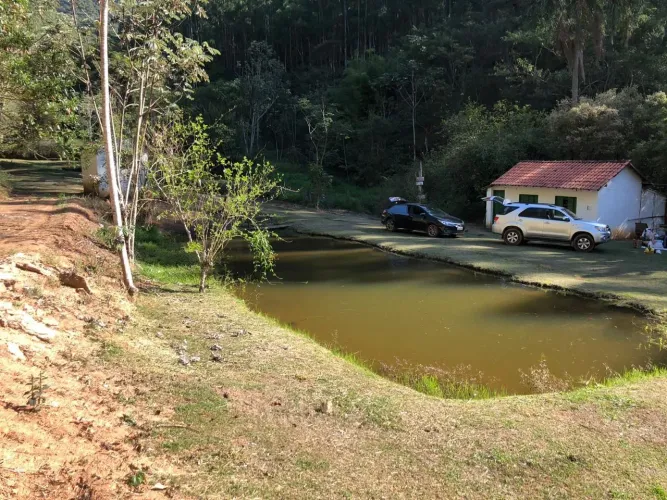 FAZENDA COM 52 ALQUEIRES EM ROSEIRA, S.P