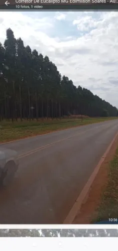Fazenda Eucalipto 306 alq. Com 250 de Eucalipto no Paraná 90 milhões.