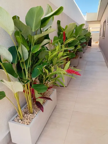 Jardineira e vasos